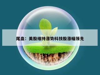 尾盘：美股维持涨势科技股涨幅领先