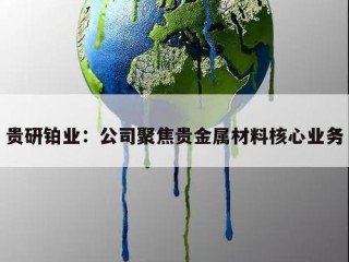 贵研铂业：公司聚焦贵金属材料核心业务